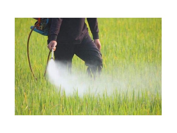 什么是納米農藥呢？用砂磨機制備